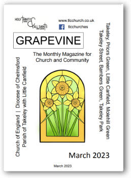 Grapevine